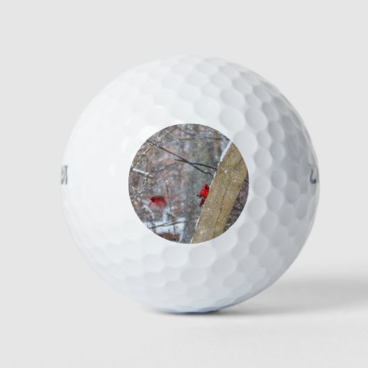 Kardinal im Schnee Golfball (Vorderseite)