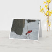Kardinal im Schnee Karte (Gelbe Blume)