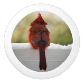 Kardinal im Schnee Keramikknauf (Vorderseite)