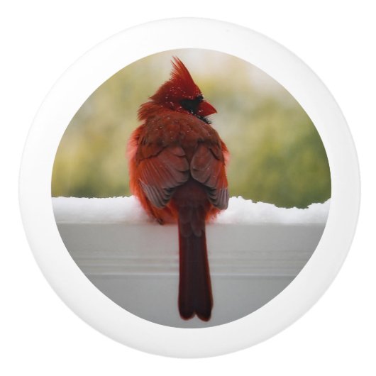 Kardinal im Schnee Keramikknauf (Vorderseite)