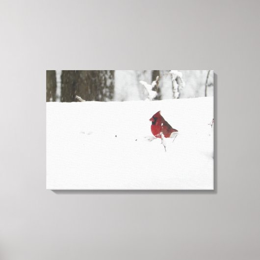 Kardinal im Schnee Leinwanddruck (Vorderseite)