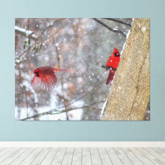 Kardinal im Schnee Leinwanddruck (Insitu (Holzboden))