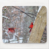 Kardinal im Schnee Mousepad (Vorne)