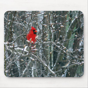 Kardinal im Schnee Mousepad