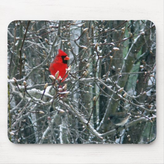 Kardinal im Schnee Mousepad (Vorne)