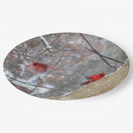Kardinal im Schnee Pappteller (Schrägansicht)