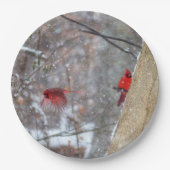 Kardinal im Schnee Pappteller (Vorderseite)