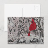Kardinal im Schnee Postkarte (Vorne/Hinten)
