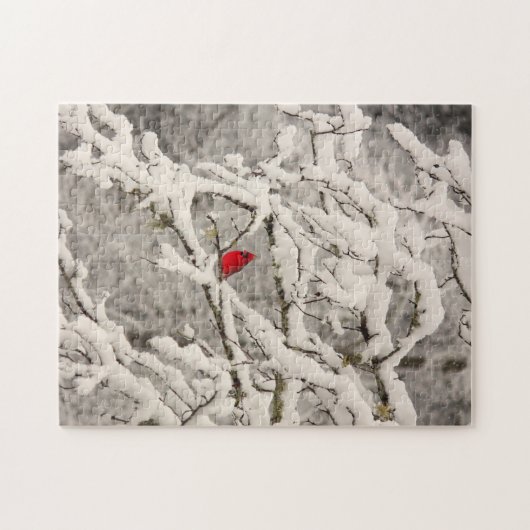Kardinal im Schnee-Puzzlespiel Puzzle (Horizontal)