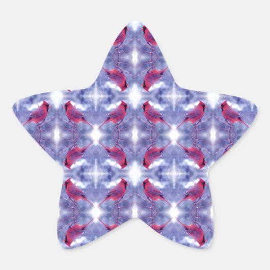 Kardinal im Schnee Stern-Aufkleber (Vorderseite)