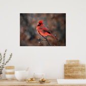 Kardinal im Schneesturm Poster (Küche)