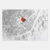 Kardinal im Winter Geschenkpapier Set (Vorderseite 3)