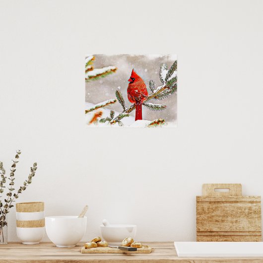 Kardinal im Winter in einem Kiefernwald Poster (Küche)