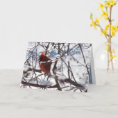 Kardinal im Winter Karte (Gelbe Blume)