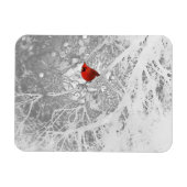 Kardinal im Winter Magnet (Horizontal)