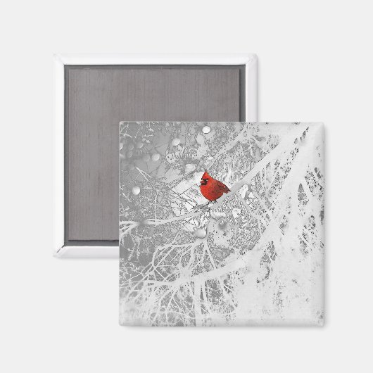 Kardinal im Winter Magnet (Vorderseite/Rückseite)