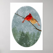 Kardinal im Winter Poster (Vorne)