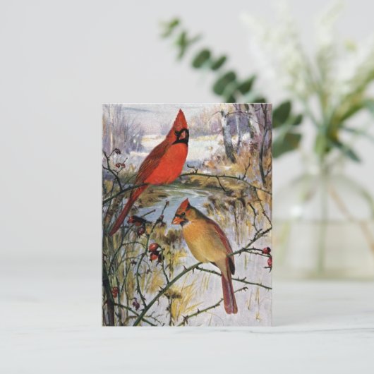 Kardinal im Winter Postkarte (Stehend Vorderseite)