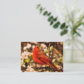 Kardinal in Apple Blossoms ATC Visitenkarte (Stehend Vorderseite)