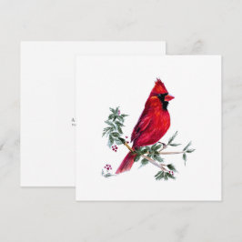 Kardinal in Aquarell von Amy DeVane Art Cards Feiertagskarte