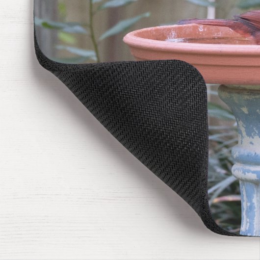 Kardinal in Birdbad blau Mousepad (Ecke)