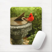 Kardinal in Central Park Mousepad (Mit Mouse)