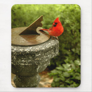 Kardinal in Central Park Mousepad