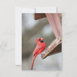 Kardinal in der Notecard der Feeder RSVP Karte