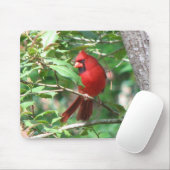 Kardinal in der Stechpalme Mousepad (Mit Mouse)