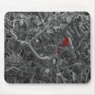 Kardinal in einem Baummousepad Mousepad