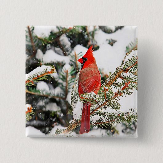Kardinal in einem Kiefernbaum Button (Vorderseite)