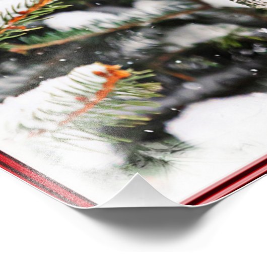 Kardinal in einem Kiefernbaum Fotodruck (Ecke)