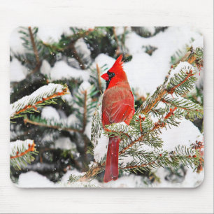 Kardinal in einem Kiefernbaum Mousepad