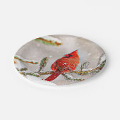 Kardinal in einem Kiefernbaum Pappteller (Schrägansicht)