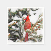 Kardinal in einem Kiefernbaum Serviette (Vorderseite)