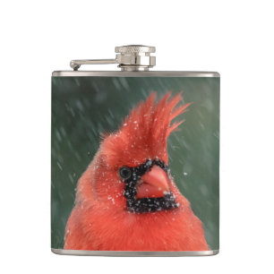 Kardinal in einem Kiefernbaum während eines Schnee Flachmann