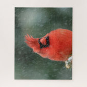 Kardinal in einem Kiefernbaum während eines Schnee Puzzle (Vertikal)