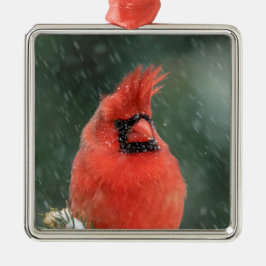 Kardinal in einem Kiefernbaum während eines Schnee Silbernes Ornament