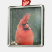 Kardinal in einem Kiefernbaum während eines Schnee Silbernes Ornament (Links)