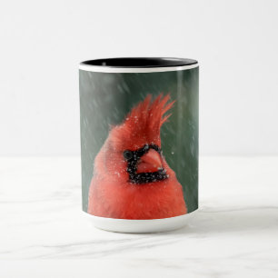 Kardinal in einem Kiefernbaum während eines Schnee Tasse