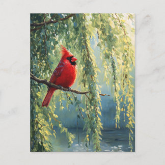 Kardinal in einem wilden Baum Postkarte
