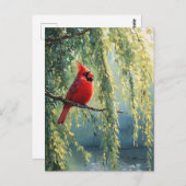 Kardinal in einem wilden Baum Postkarte (Vorne/Hinten)