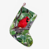 Kardinal in einem Zitronenbaum - Strumpf zu Weihna Kleiner Weihnachtsstrumpf (Vorderansicht (hängend))