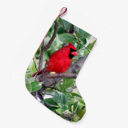 Kardinal in einem Zitronenbaum - Strumpf zu Weihna Kleiner Weihnachtsstrumpf (Vorderansicht (hängend))