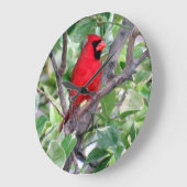 Kardinal in einem Zitronenbaum - Vogeluhr im Hinte Große Wanduhr (Winkel)
