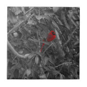 Kardinal in einer Baumfliese Fliese (Vorderseite)