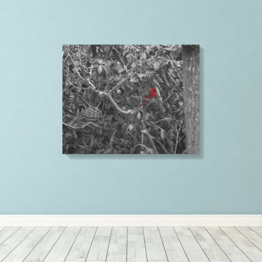 Kardinal in einer Baumgestreiften Leinwand (Insitu (Holzboden))