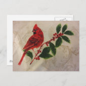 Kardinal in Holly Bush Postkarte (Vorne/Hinten)