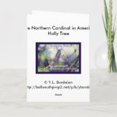 Kardinal in Holly Card Feiertagskarte (Rückseite)