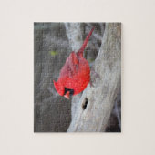 Kardinal in Holz Puzzle (Vertikal)